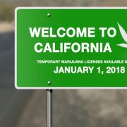 California temporary marijuana licenses beginning January 1, 2018