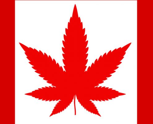 canada canabis industry
