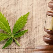 cannabis-laws