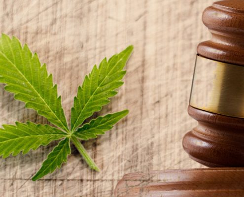 cannabis-laws