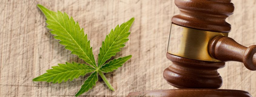 cannabis-laws