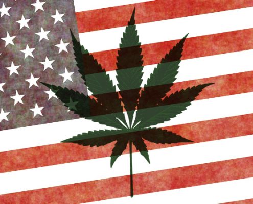 cannabis legalization