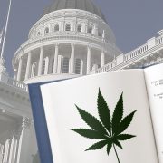 Cannabis Bill