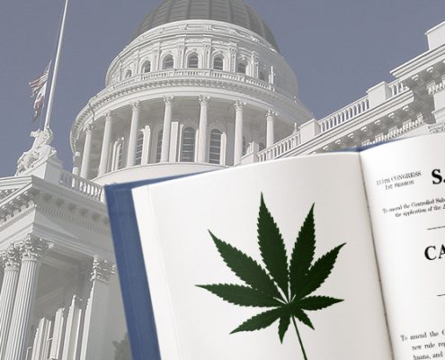 Cannabis Bill