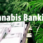 cannabis business banking law