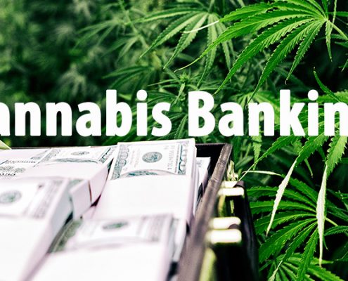 cannabis business banking law