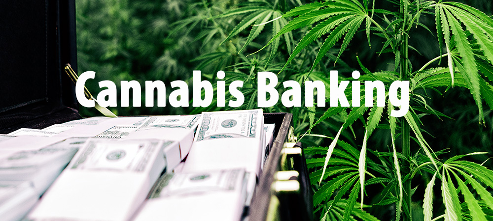 cannabis business banking law