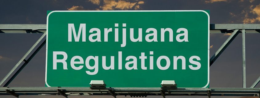 cannabis regulation