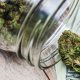 cannabis business tax deductions