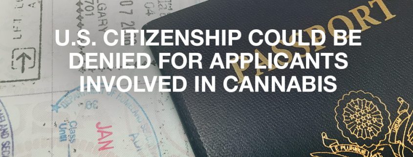 U.S. Citizenship Could Be Denied For Applicants Involved In Cannabis